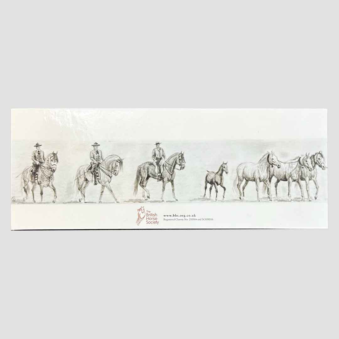 Andalusian Line Up Cards