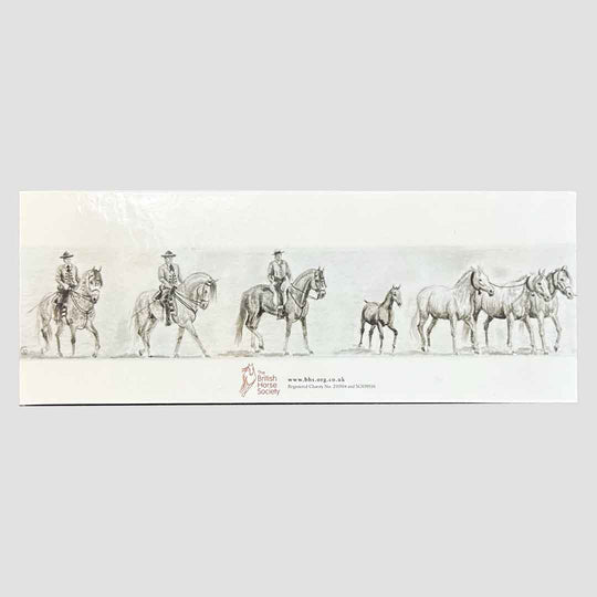 Andalusian Line Up Cards