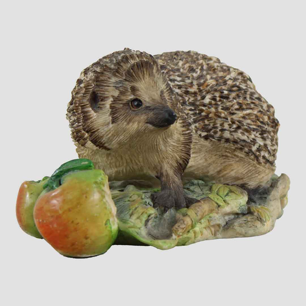 Hedgehog (Style Two) Border Fine Arts