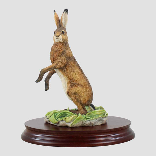 Hare Standing Border Fine Arts