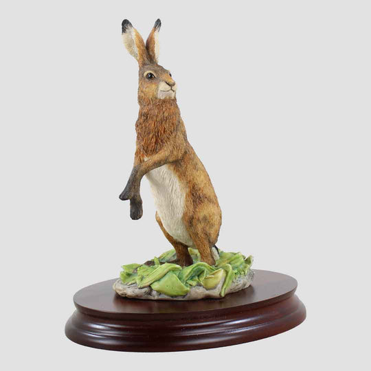 Hare Standing Border Fine Arts