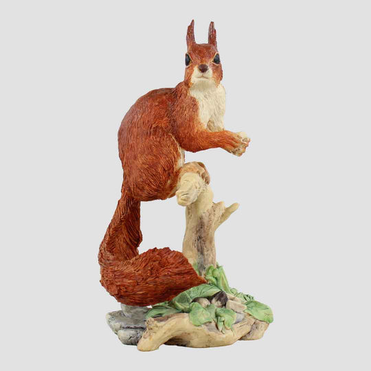 Red Squirrel Border Fine Arts