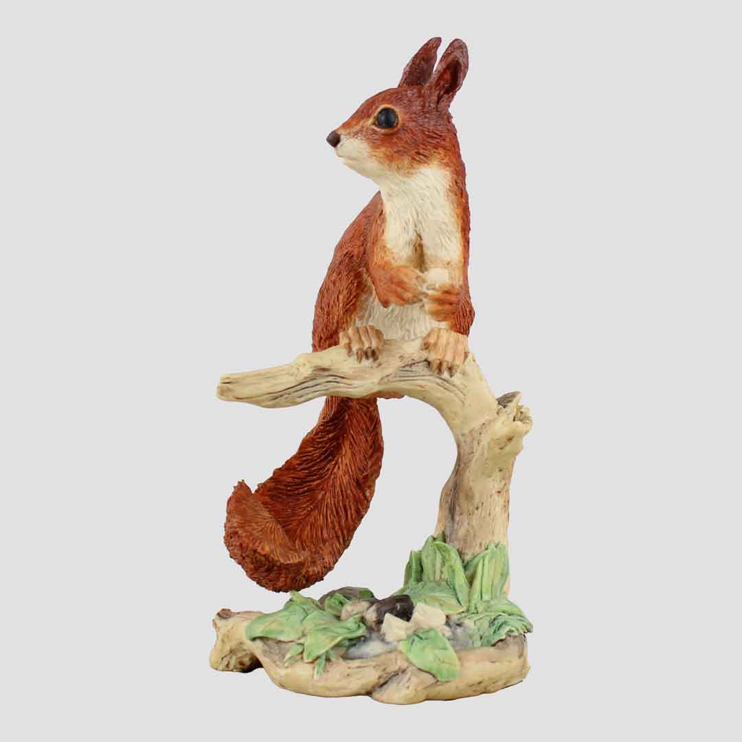 Red Squirrel Border Fine Arts
