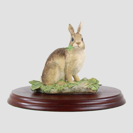 Rabbit Border Fine Arts Wildlife