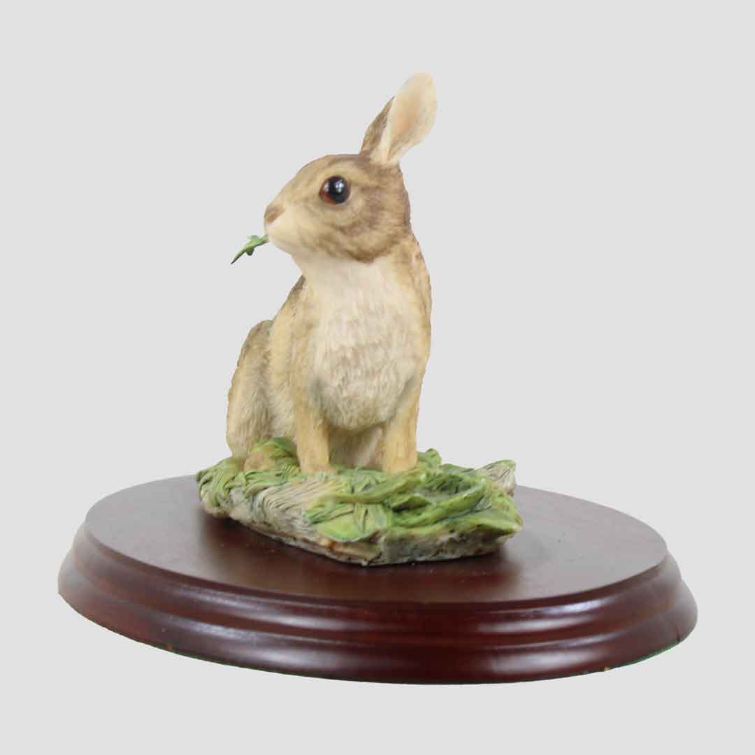 Rabbit Border Fine Arts Wildlife