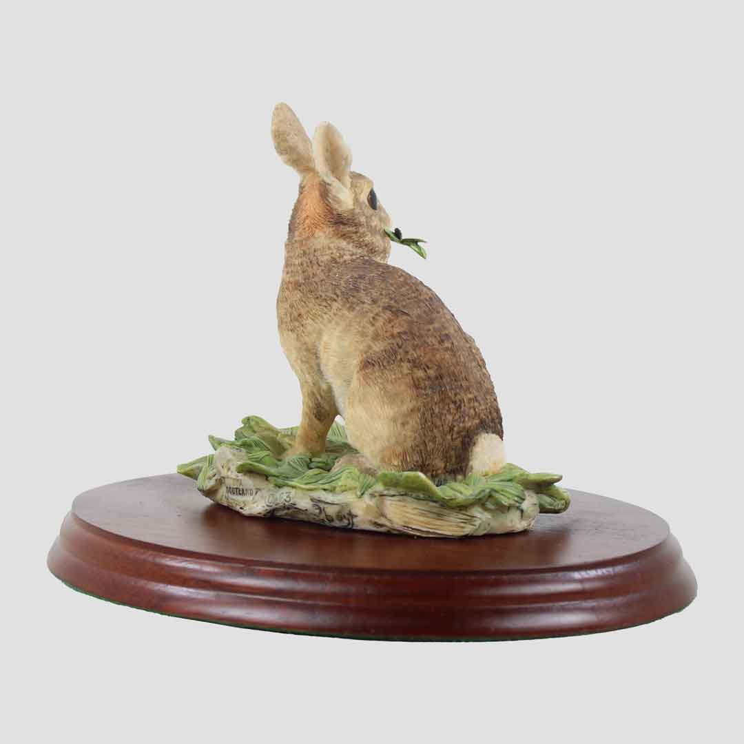Rabbit Border Fine Arts Wildlife