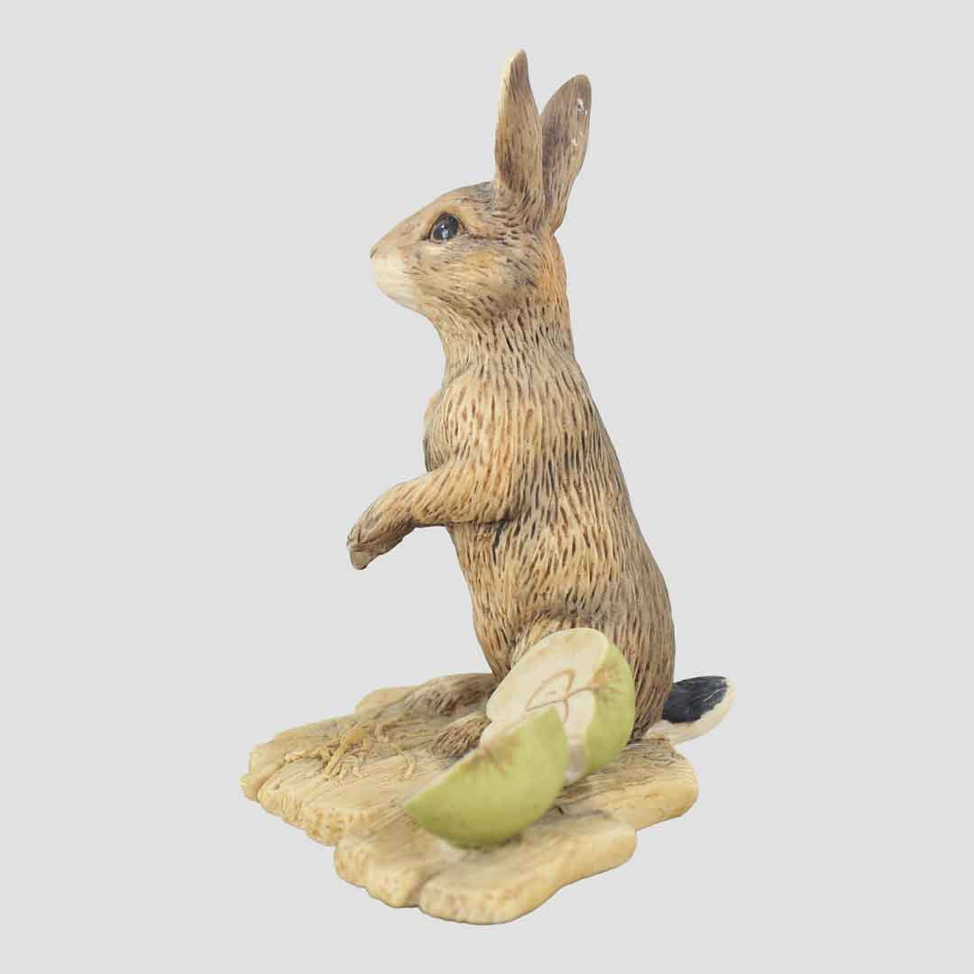 Flopsy Border Fine Arts Rabbit