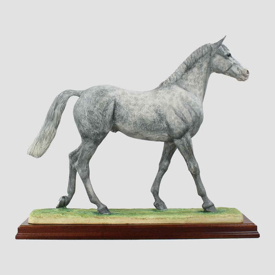 Thoroughbred Stallion (Grey) Border Fine Arts