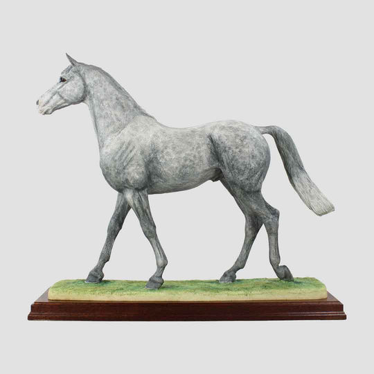 Thoroughbred Stallion (Grey) Border Fine Arts