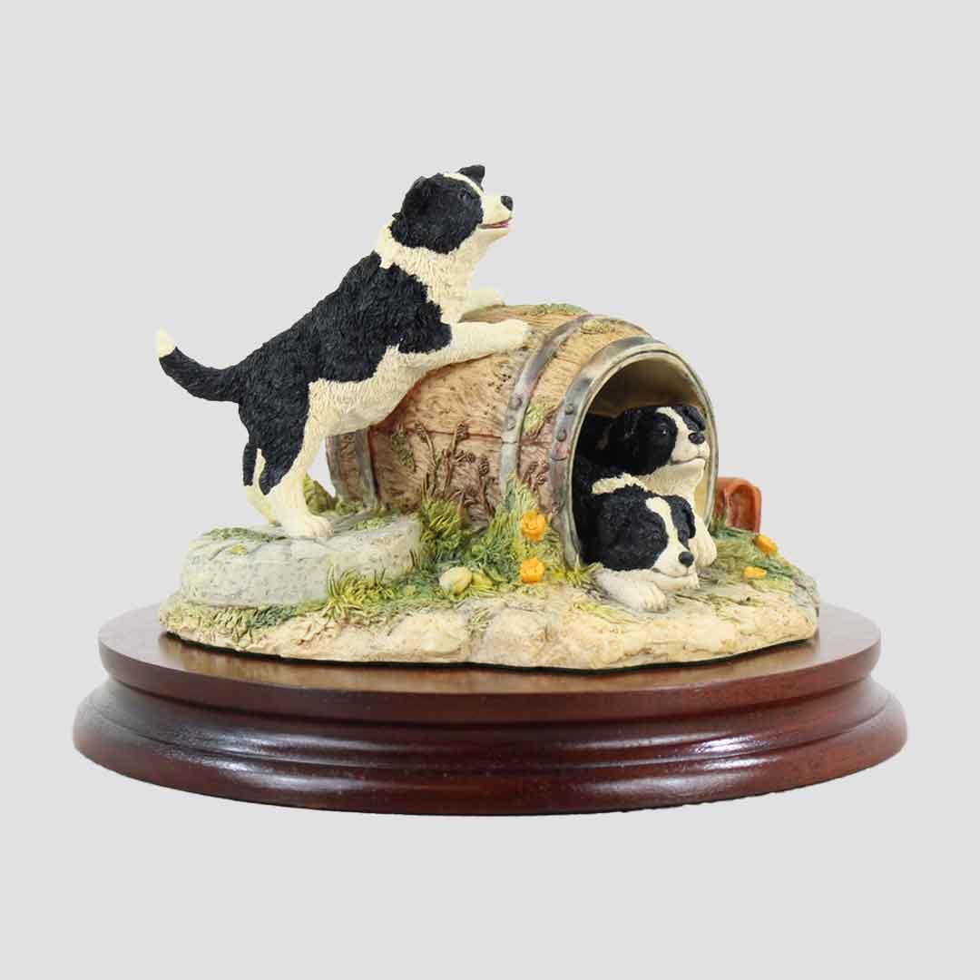 Temporary Home Border Fine Arts Collies