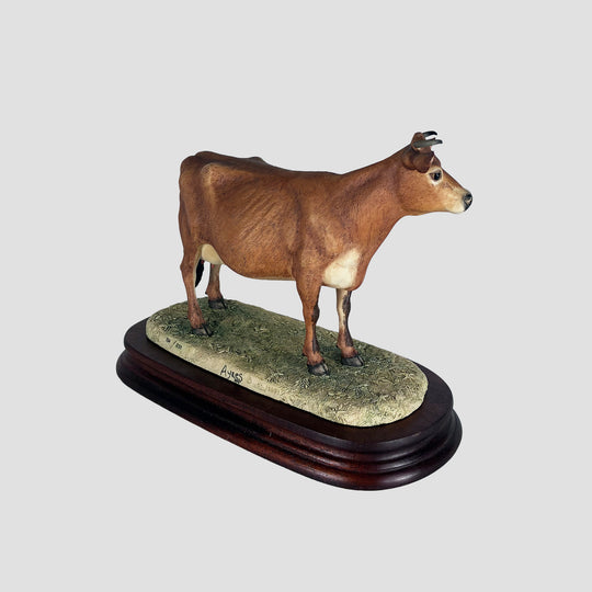 Jersey Cow Horned Border Fine Arts Cattle with Certificate