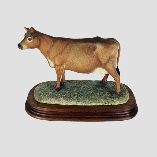 Jersey Cow Polled Border Fine Arts Cattle with Certificate