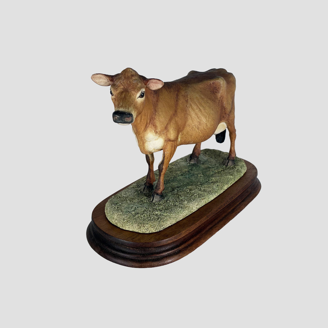 Jersey Cow Polled Border Fine Arts Cattle with Certificate