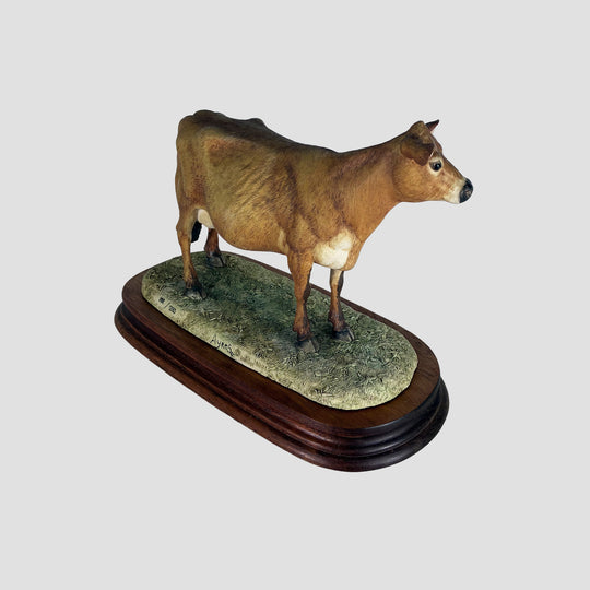 Jersey Cow Polled Border Fine Arts Cattle with Certificate