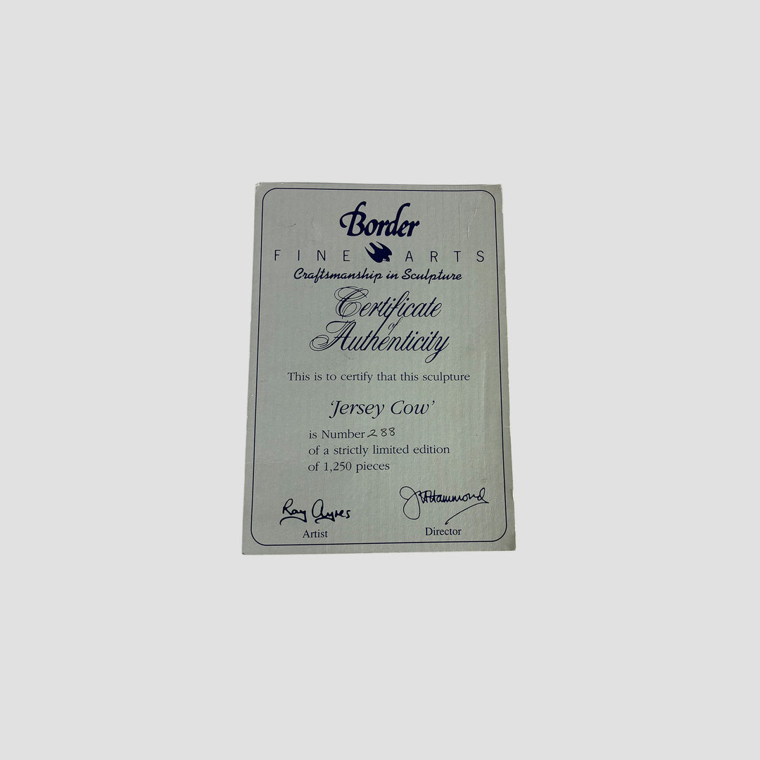 Jersey Cow Polled Border Fine Arts Cattle with Certificate