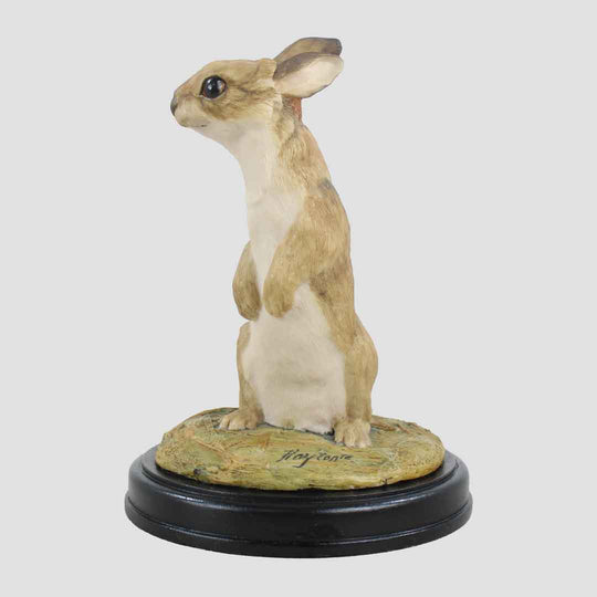 Rabbit Standing Border Fine Arts