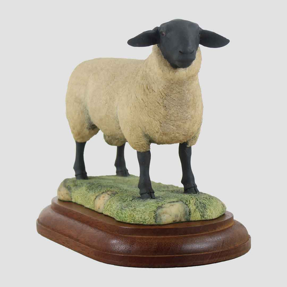 Suffolk Ram Style One Border Fine Arts