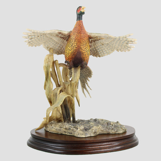 Rising Pheasant By Frank Falco Border Fine Arts Birds