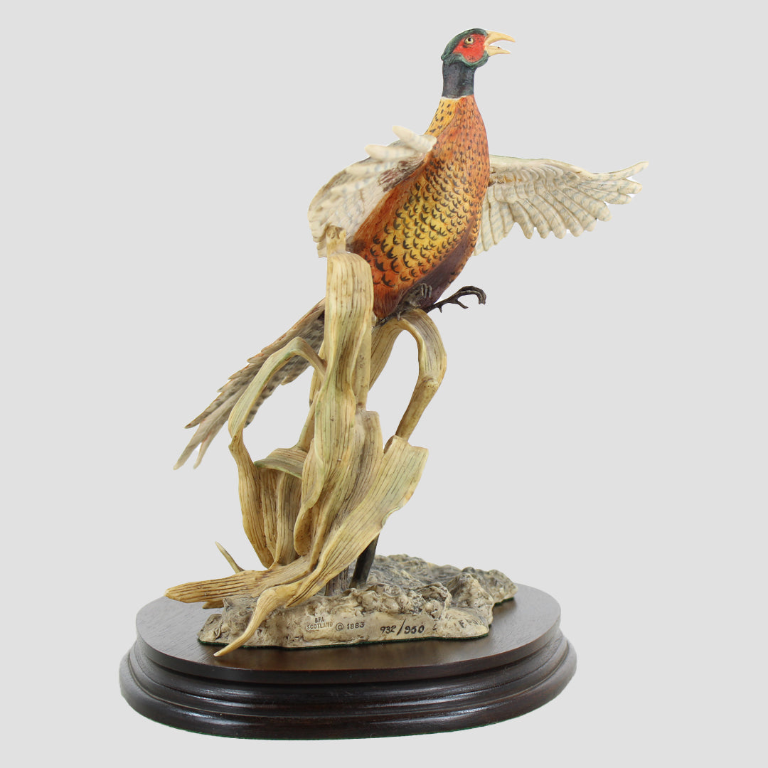 Rising Pheasant By Frank Falco Border Fine Arts Birds