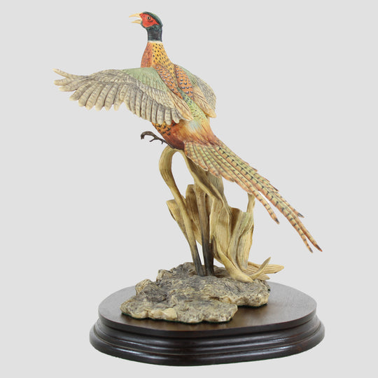 Rising Pheasant By Frank Falco Border Fine Arts Birds