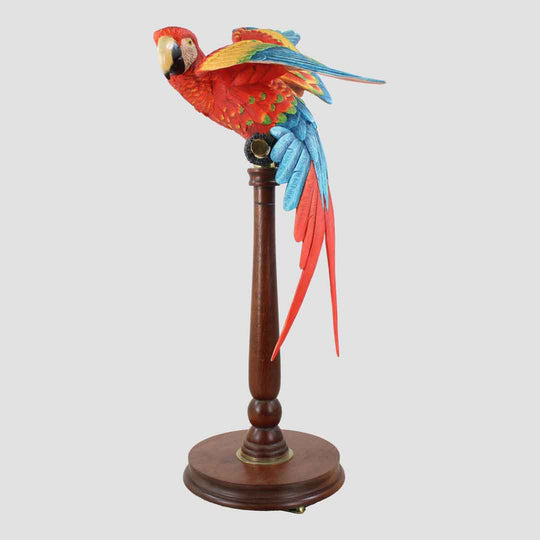 Macaw Border Fine Arts Birds