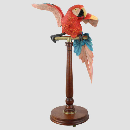 Macaw Border Fine Arts Birds