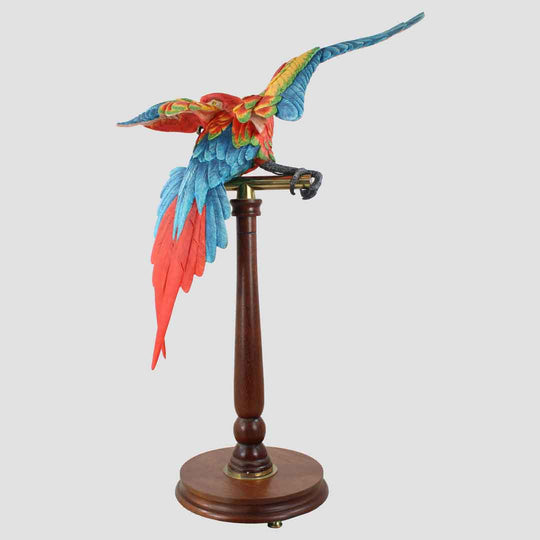 Macaw Border Fine Arts Birds