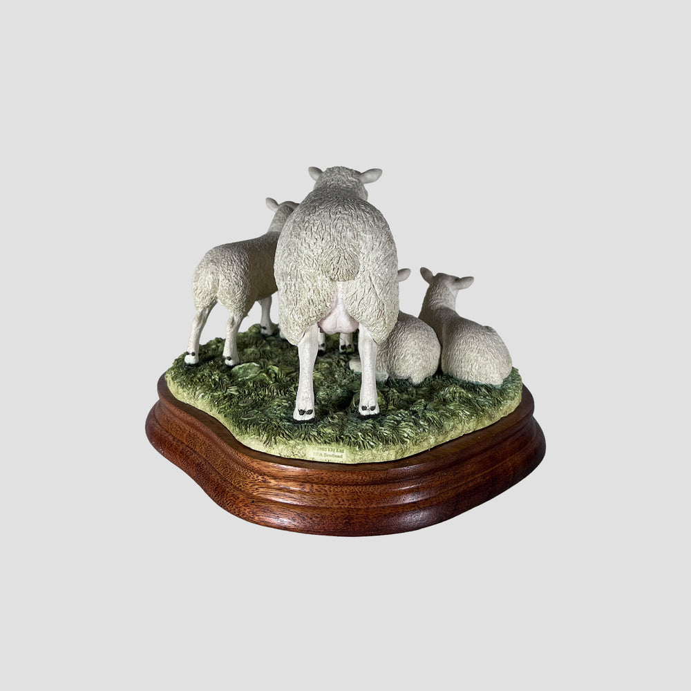 LLeyn Ewe and Lambs Border Fine Arts Sheep Model Original Box and Certificate
