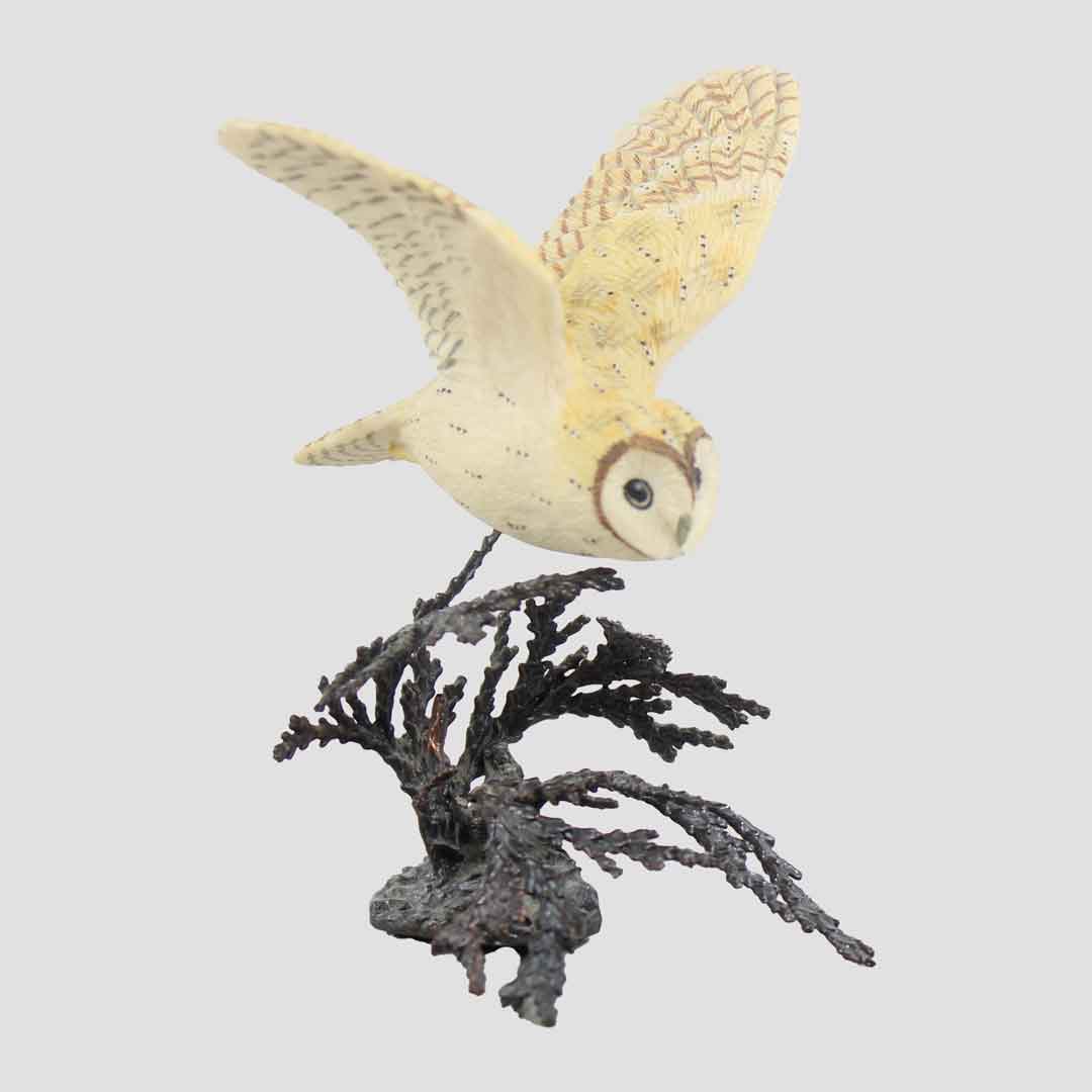 Barn Owl Flying (Small) Border Fine Arts