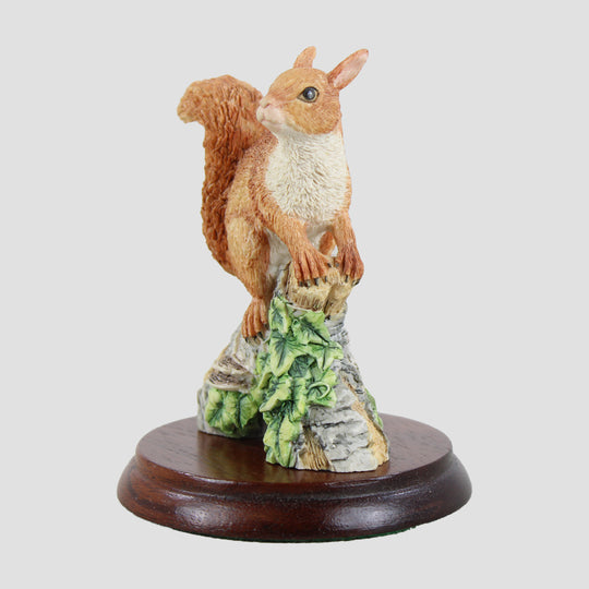 Red Squirrel Style Two Border Fine Arts