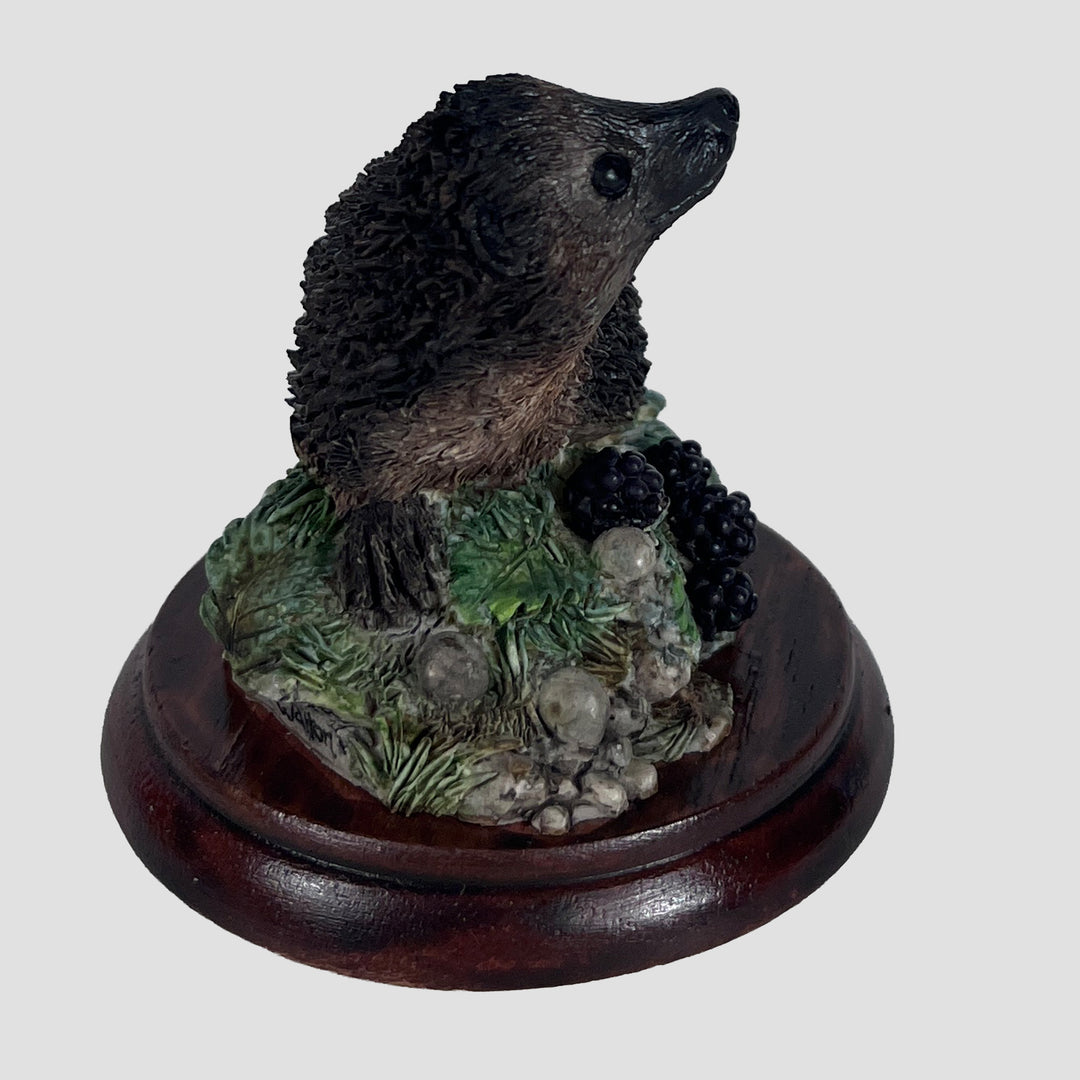 Hedgehog Style Five Border Fine Arts