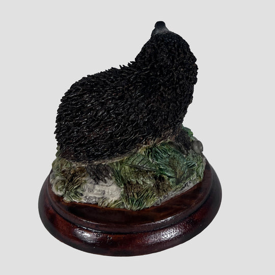 Hedgehog Style Five Border Fine Arts