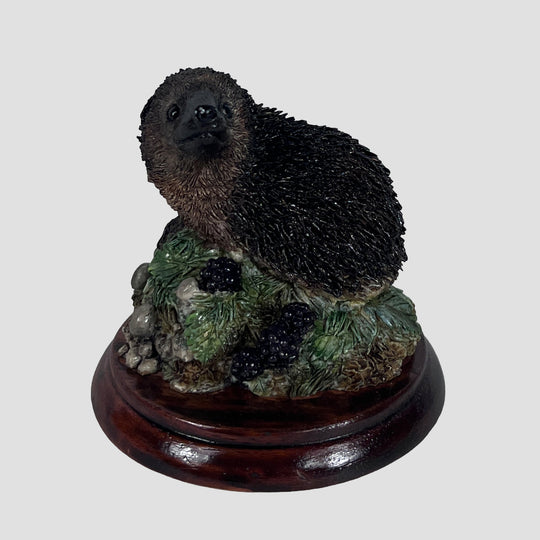 Hedgehog Style Five Border Fine Arts