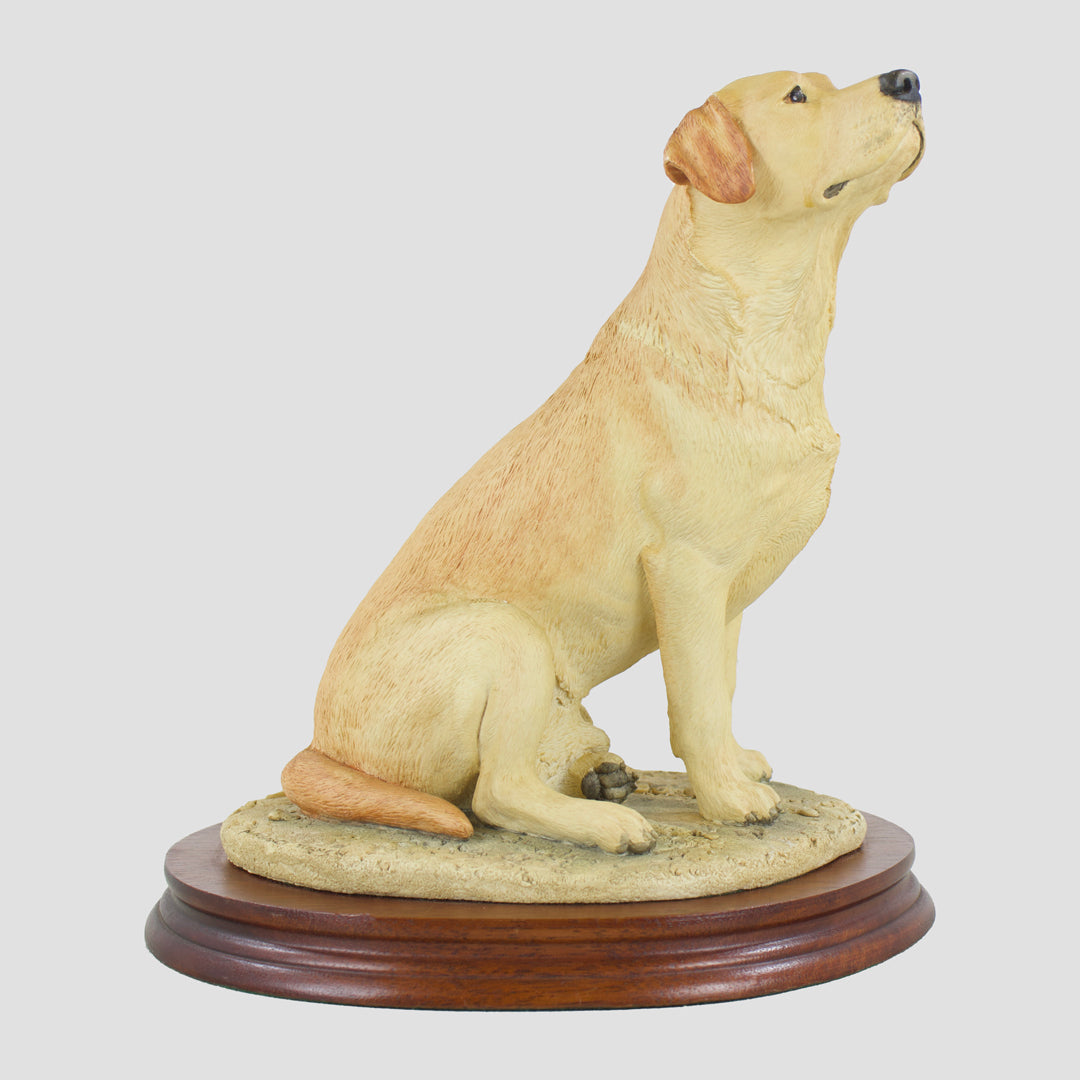 Labrador Sitting (Yellow) Border Fine Arts Dog