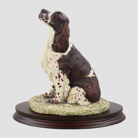 English Springer Spaniel Seated Border Fine Arts Dog