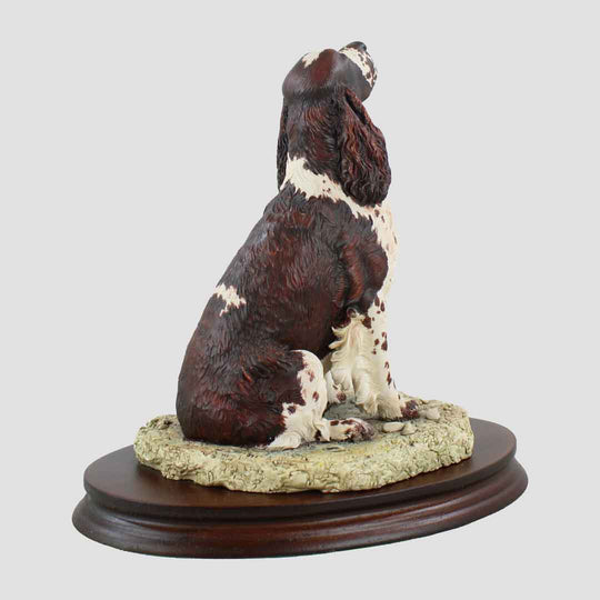 English Springer Spaniel Seated Border Fine Arts Dog