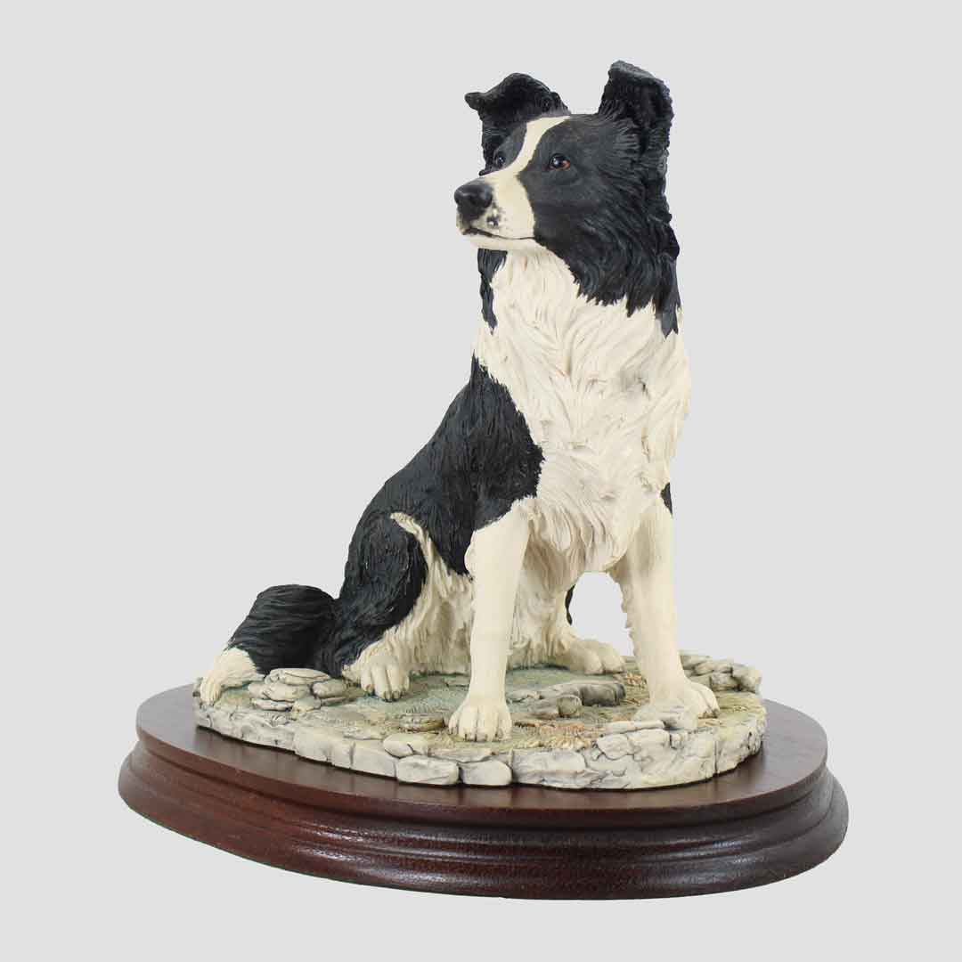 Border Collie Seated Border Fine Arts Dog
