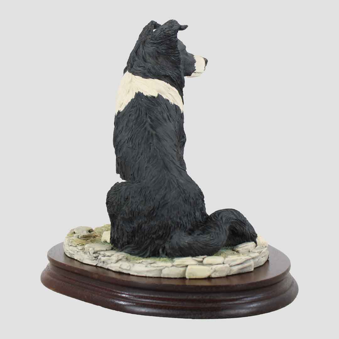 Border Collie Seated Border Fine Arts Dog