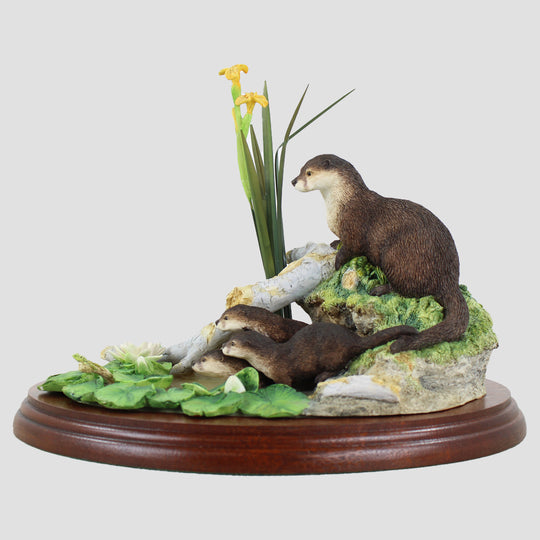 Point Of Interest Border Fine Arts Otter