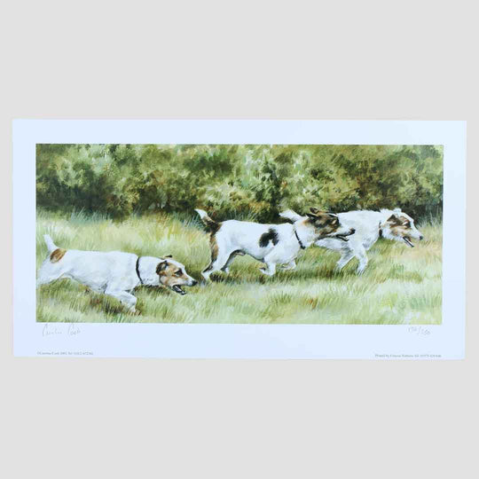 Mutts On A Mission Print By Caroline Cook