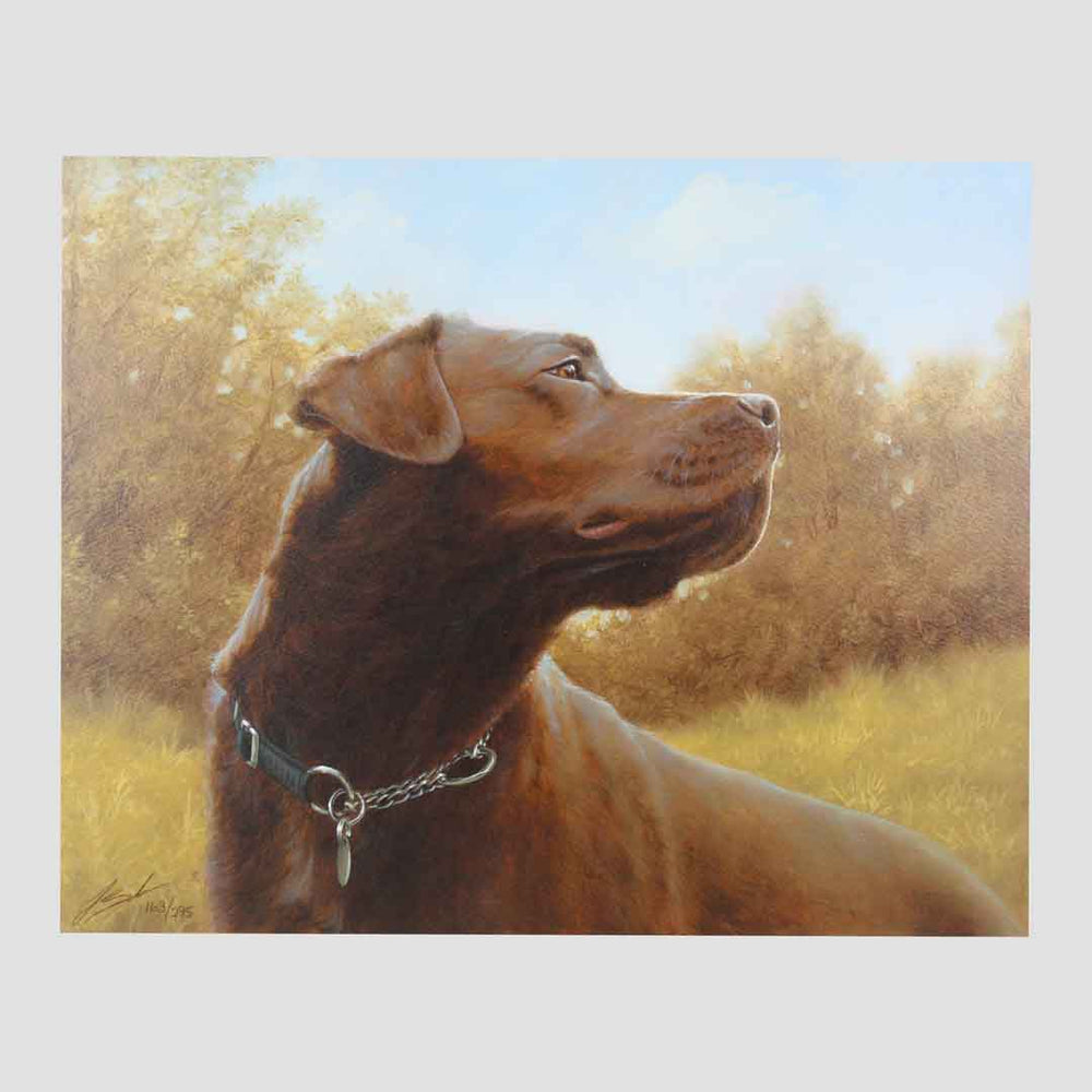 Hot Chocolate Labrador Print By John Silver