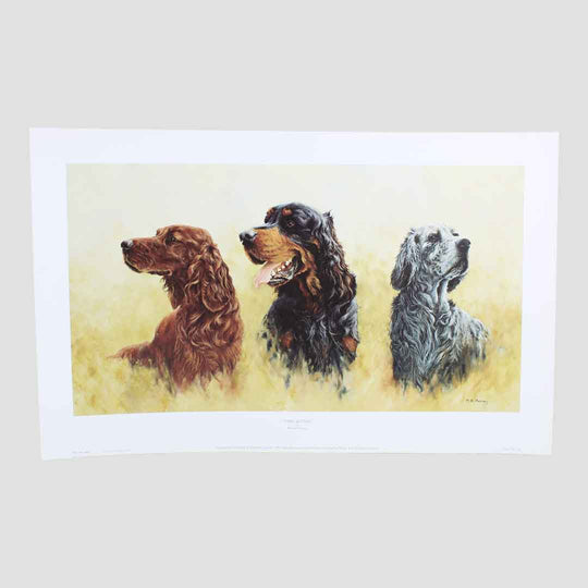 Three Setters Print By Michael Herring