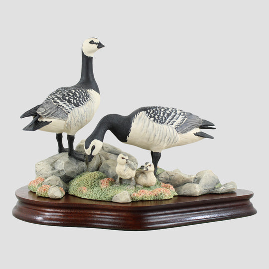 Barnacle Geese Border Fine Arts Birds