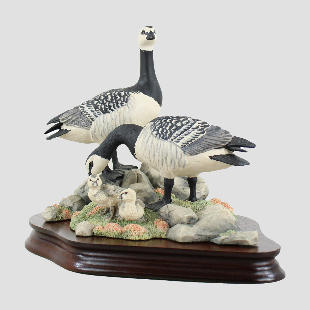 Barnacle Geese Border Fine Arts Birds