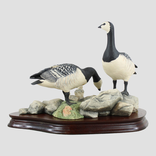 Barnacle Geese Border Fine Arts Birds