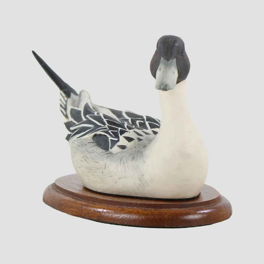 Pintail Drake Border Fine Arts