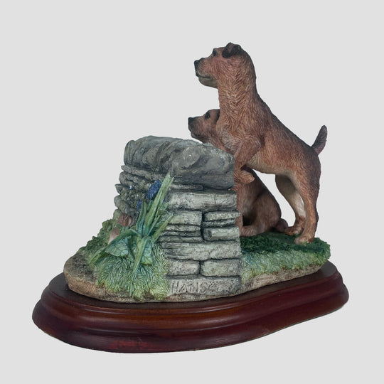 Pair of Border Terriers looking over wall Border Fine Arts Dogs Model