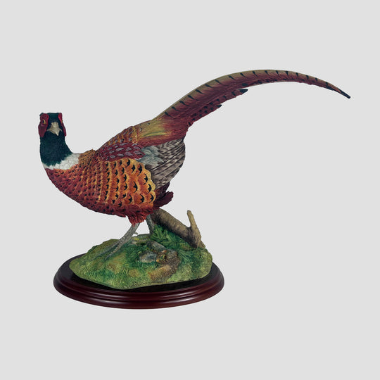 Pheasant (Large) Model Border Fine Arts Game Bird