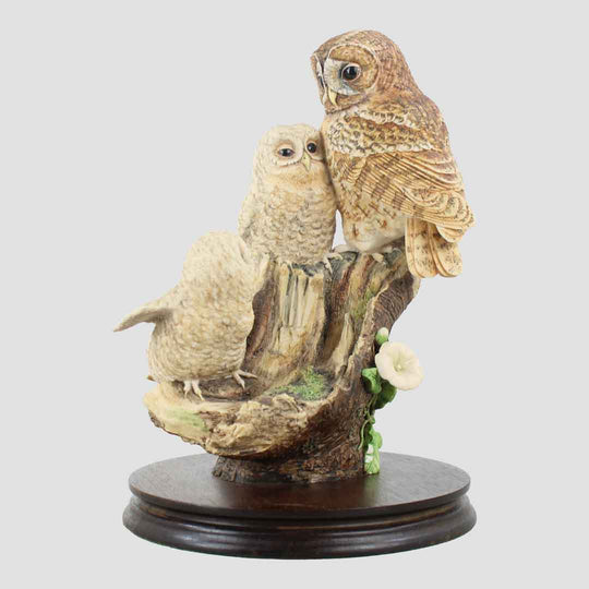 Tawny Owl And Young Border Fine Arts