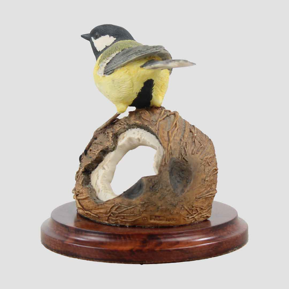 Great Tit On Coconut Border Fine Arts Bird